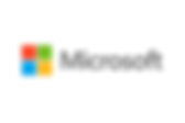 mslogo.jpg